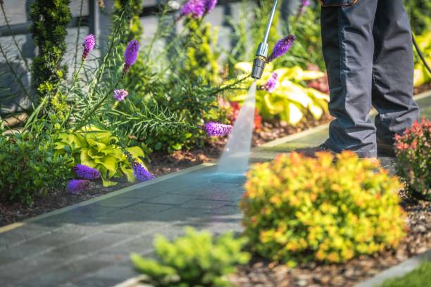 Reliable Moodus, CT Pressure Washing Services Solutions